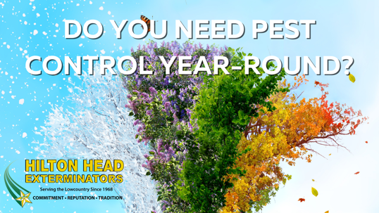 Four season represented on a tree with the title "Do you need pest control year-round in south Carolina?"